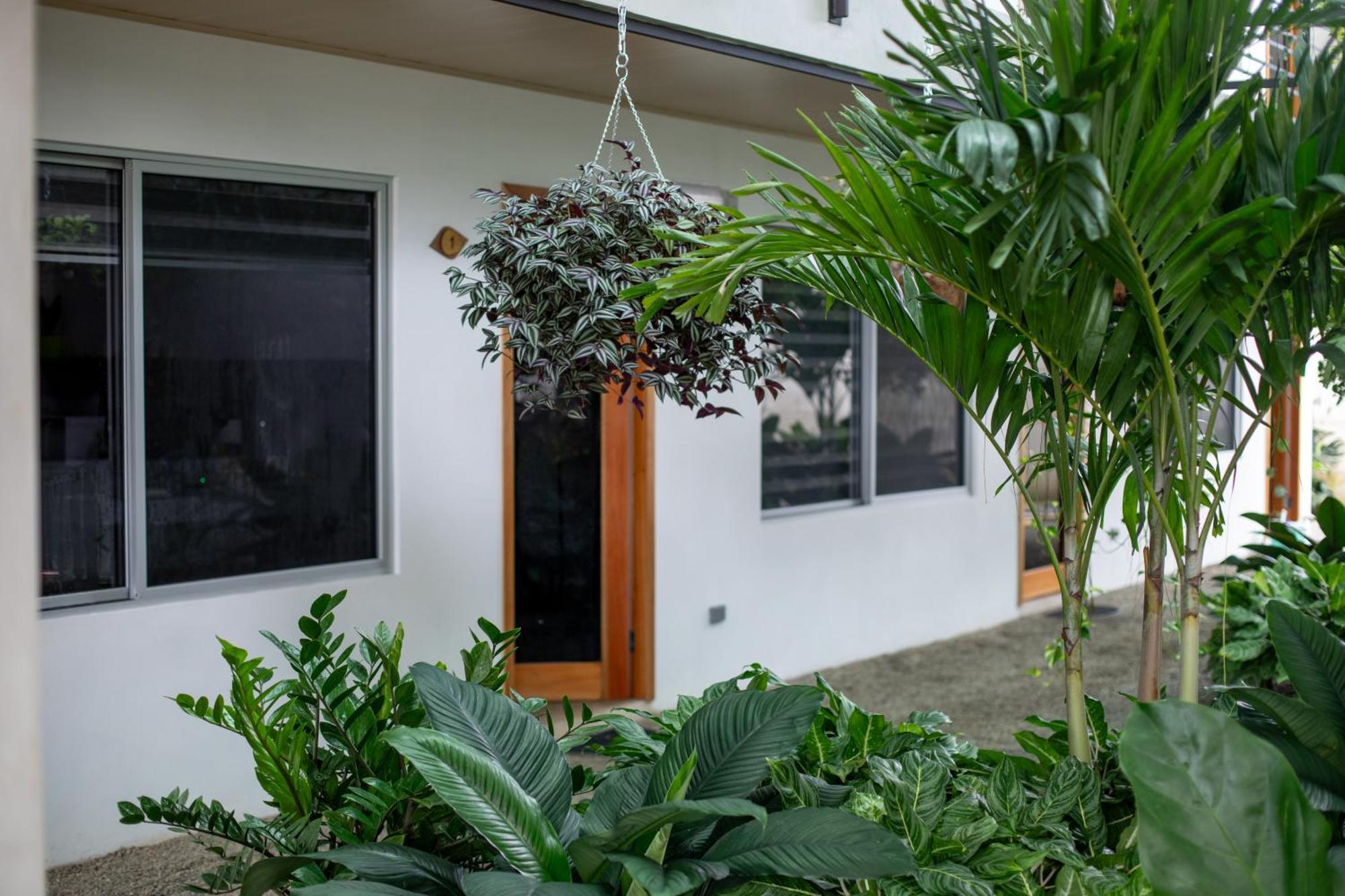 Nomad Living Cr Tarcoles Appartement Buitenkant foto